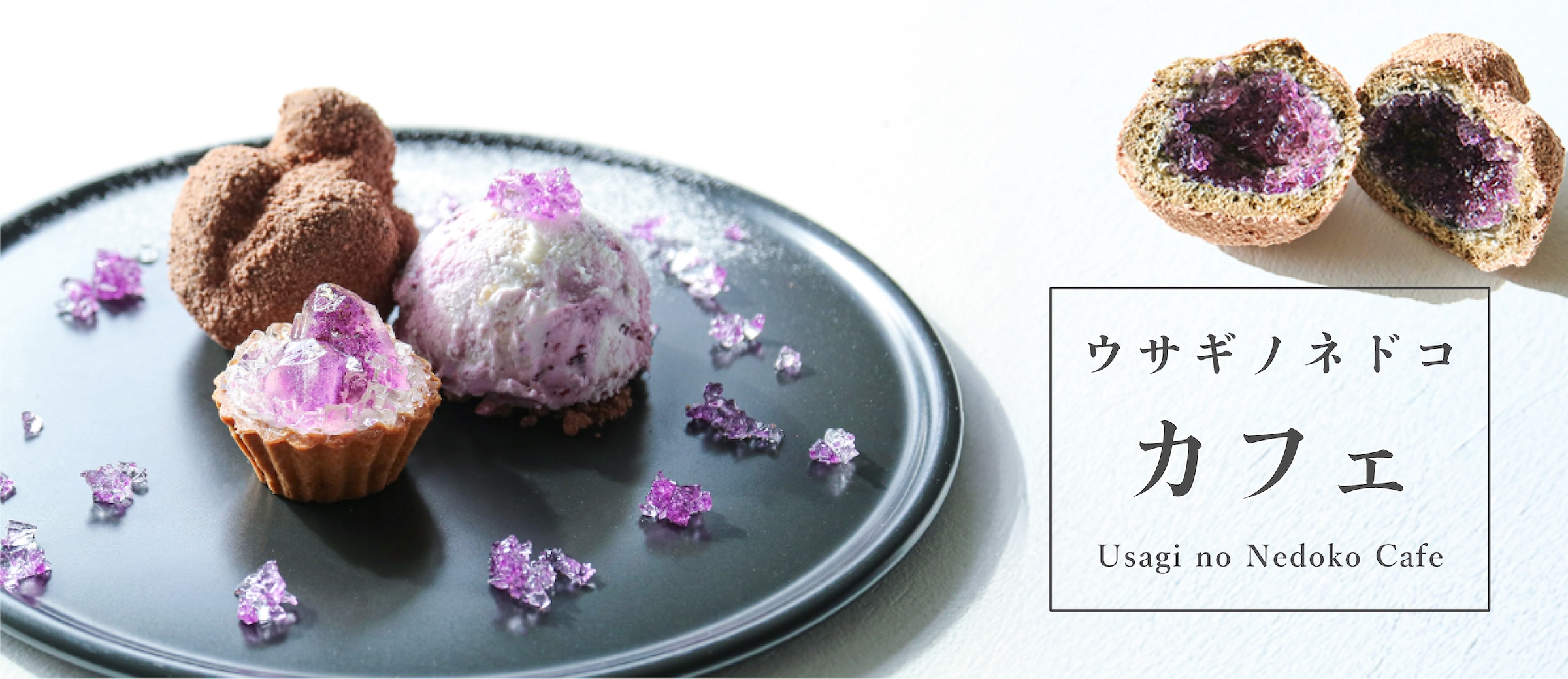 “ウサギノネドコ