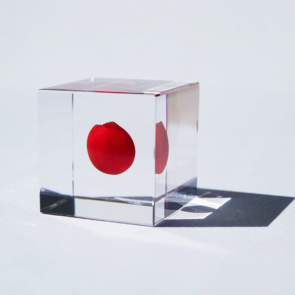 Sola cube | ウサギノネドコ