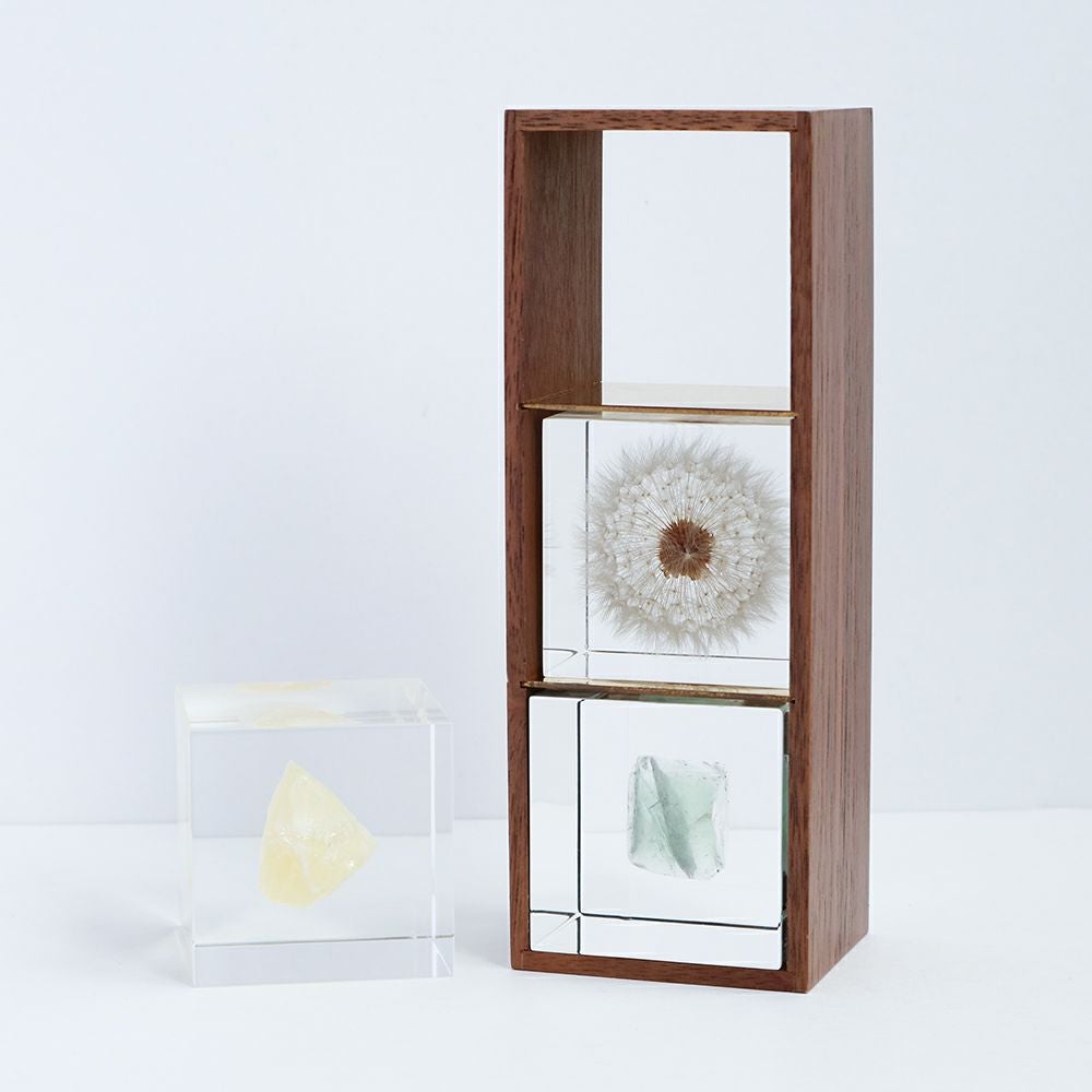 ソラキューブ sola cube 宙 木箱セット 8個 楽天市場】【送料無料】宙-sola- ソラ sola cube 標本箱木箱セット