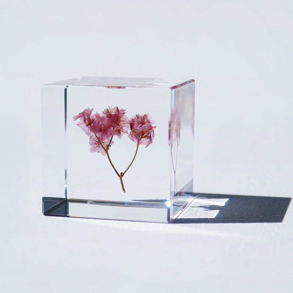 Sola cube | ウサギノネドコ