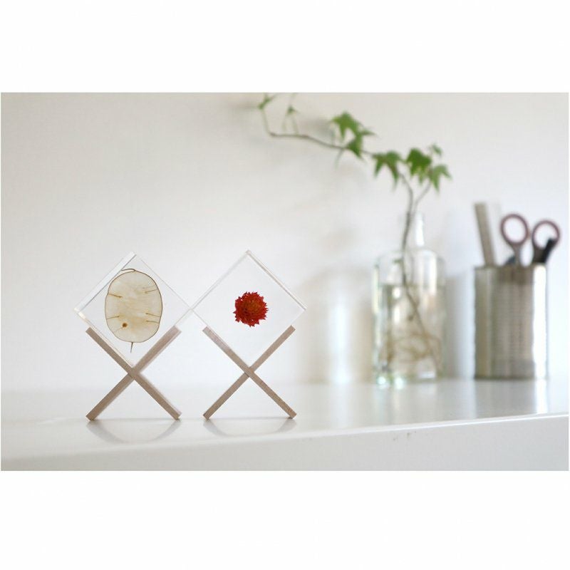 Sola cube Stand | ウサギノネドコ