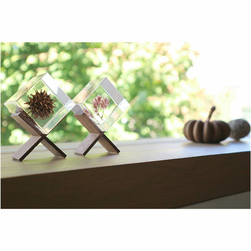 Sola cube Stand | ウサギノネドコ