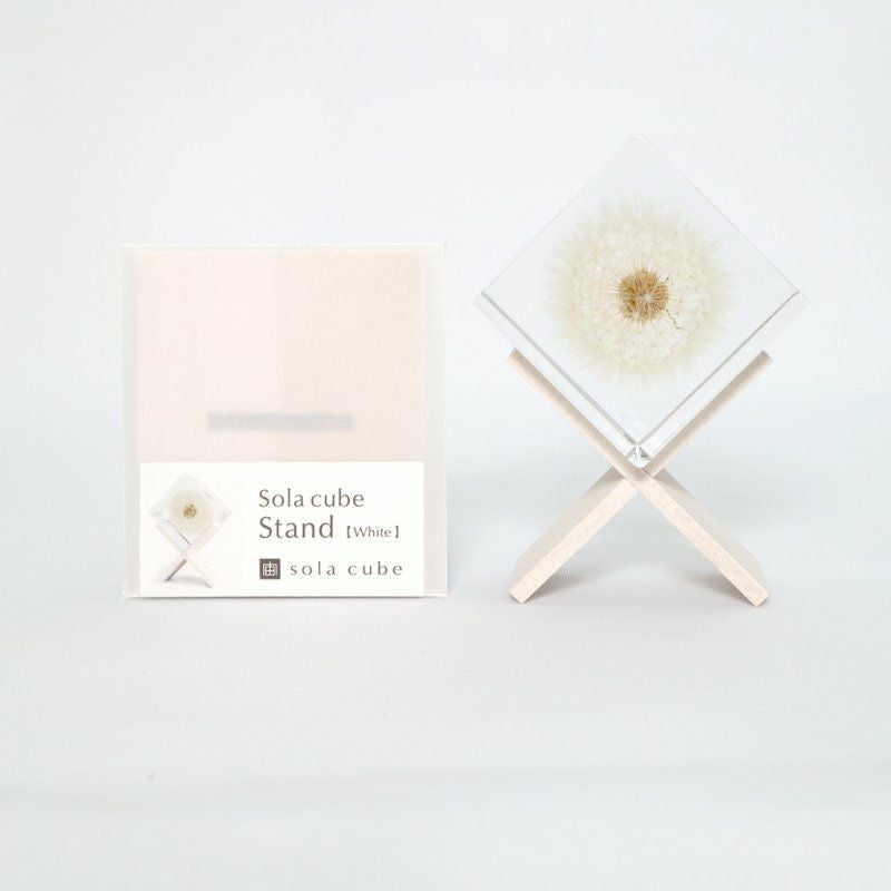 Sola cube + Sola cube Standセット | ウサギノネドコ