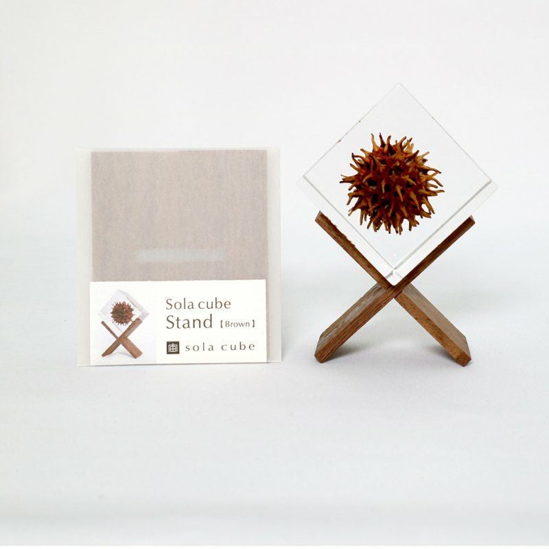 Sola cube + Sola cube Standセット | ウサギノネドコ
