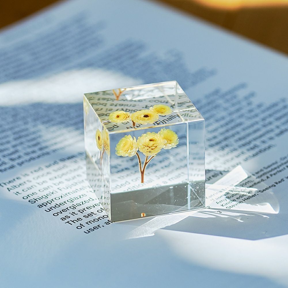 Sola cube | ウサギノネドコ