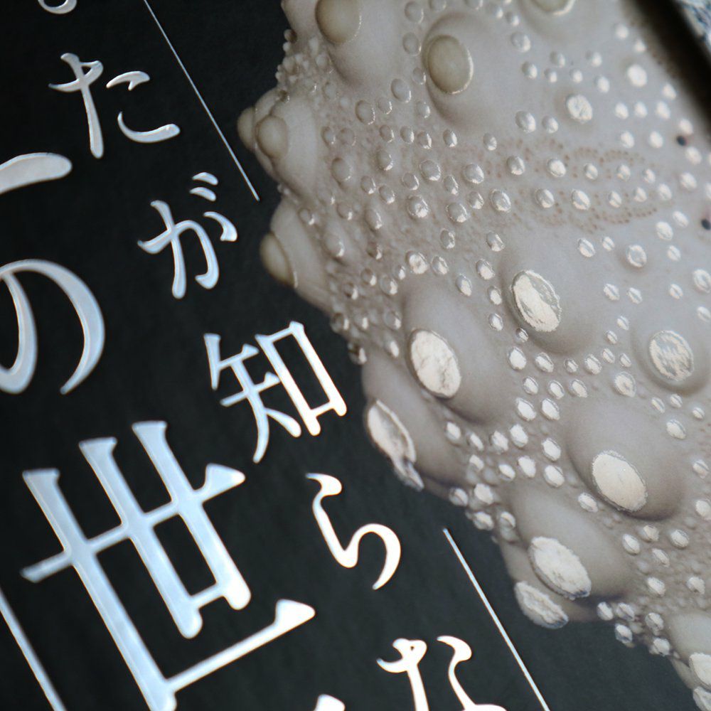 おまけ付き】あなたが知らないウニの世界 | ウサギノネドコ