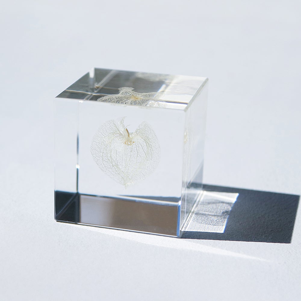 Sola cube | ウサギノネドコ