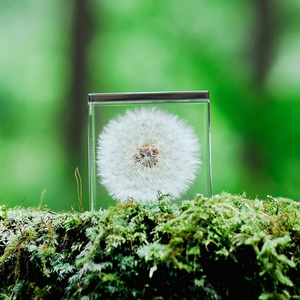 Sola cube | ウサギノネドコ