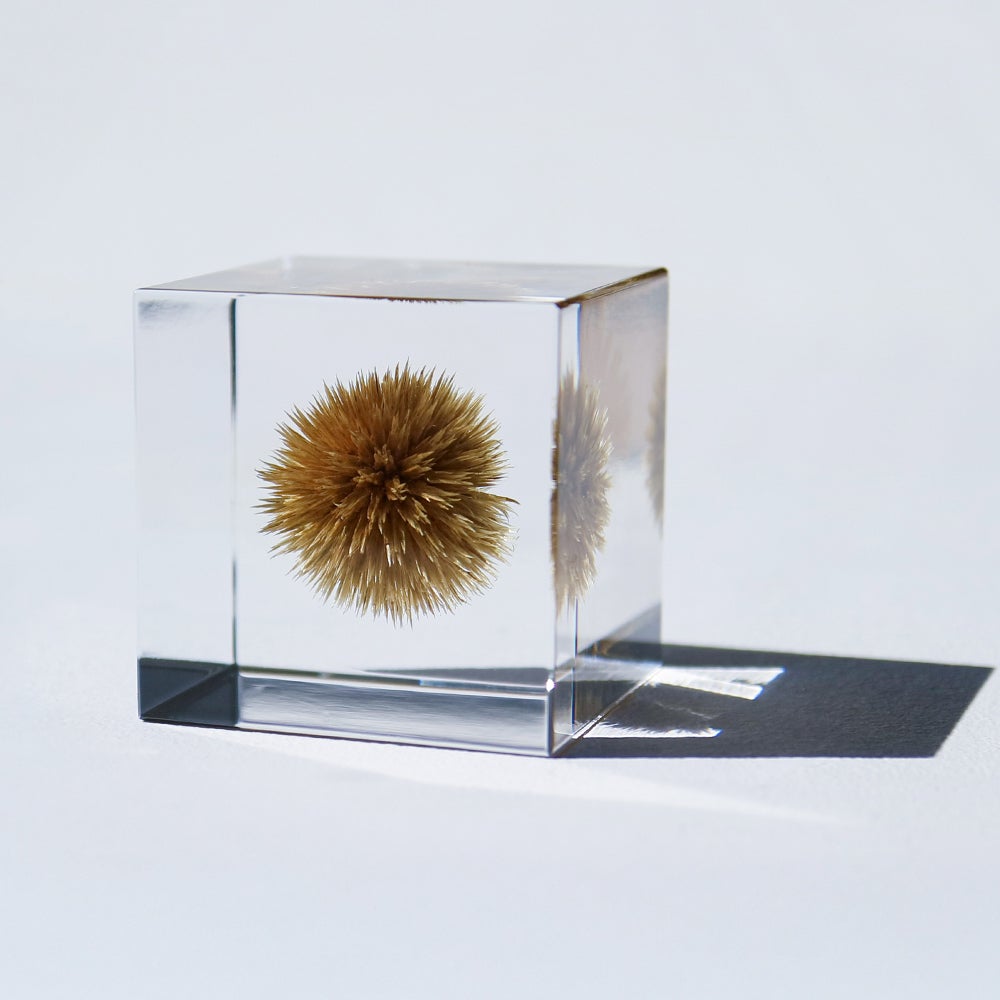 Sola cube | ウサギノネドコ