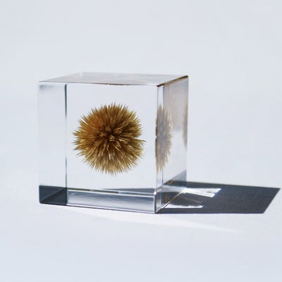 Sola cube | ウサギノネドコ