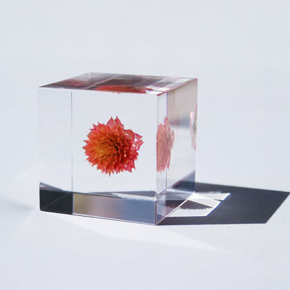 Sola cube | ウサギノネドコ