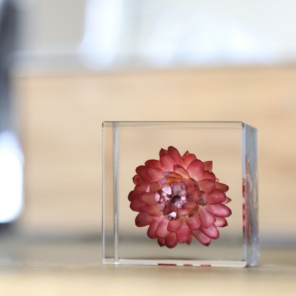 Sola cube | ウサギノネドコ