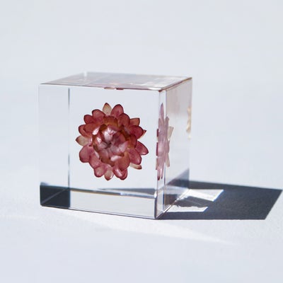 Sola cube | ウサギノネドコ
