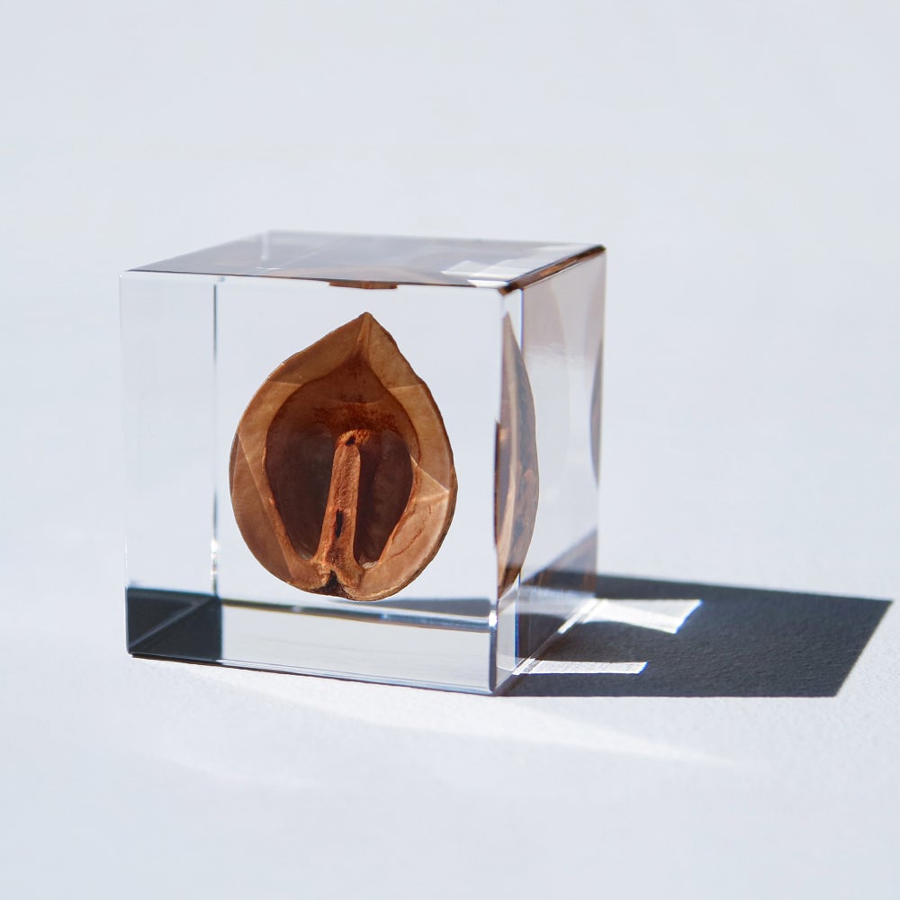 Sola cube + Sola cube Standセット | ウサギノネドコ