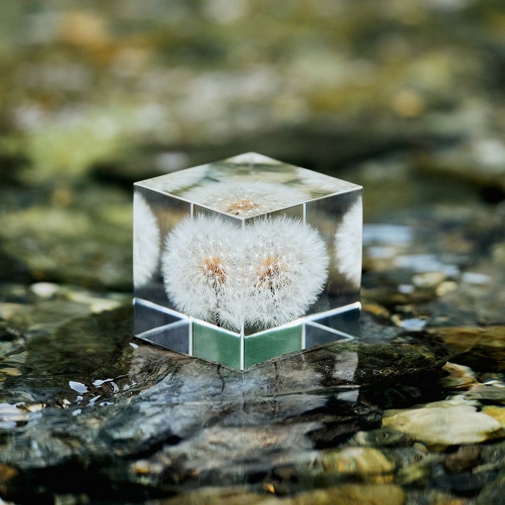 Sola cube | ウサギノネドコ