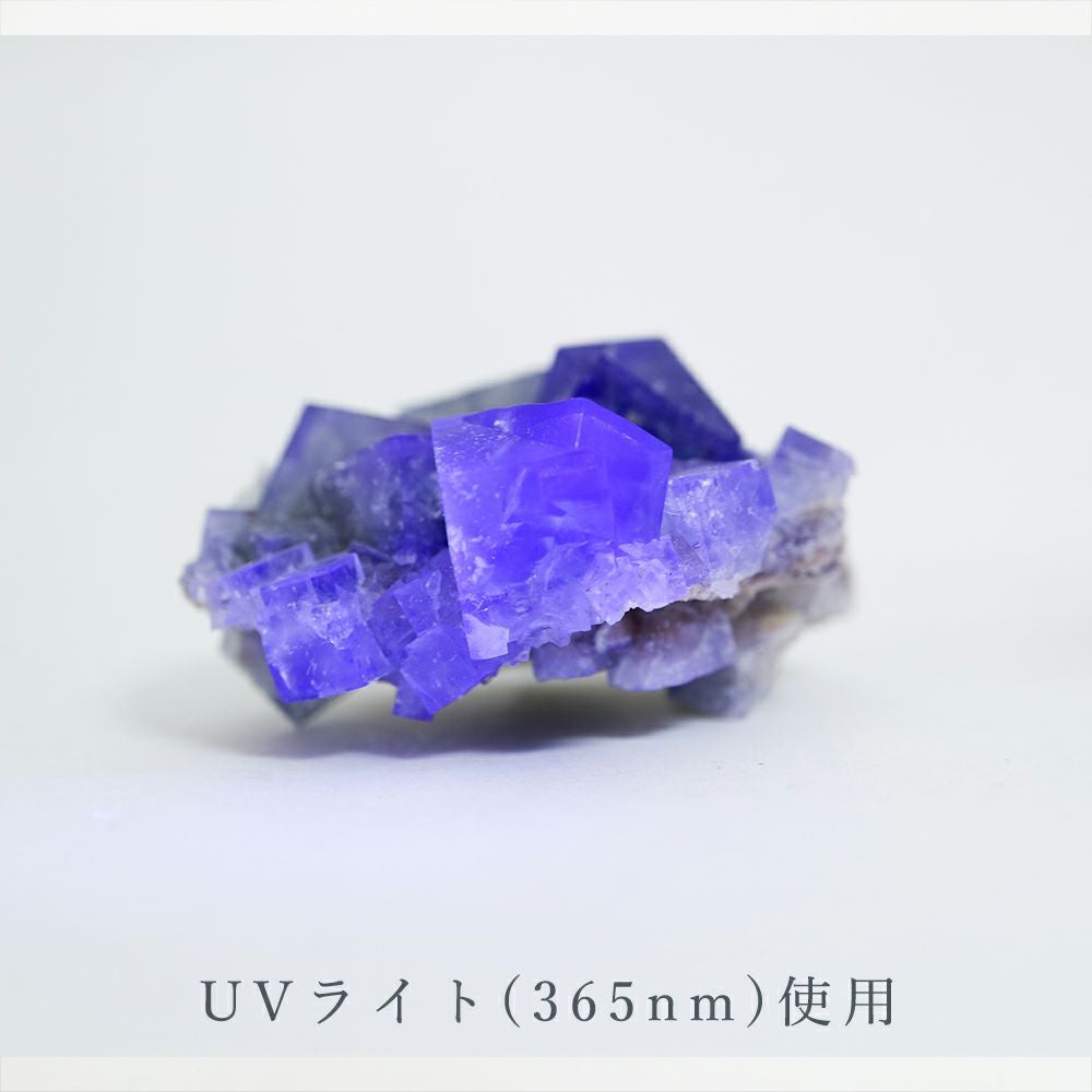蛍石 | ウサギノネドコ