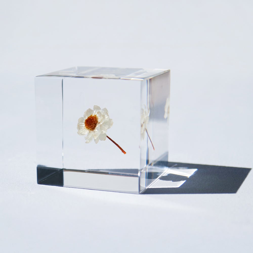 Sola cube | ウサギノネドコ