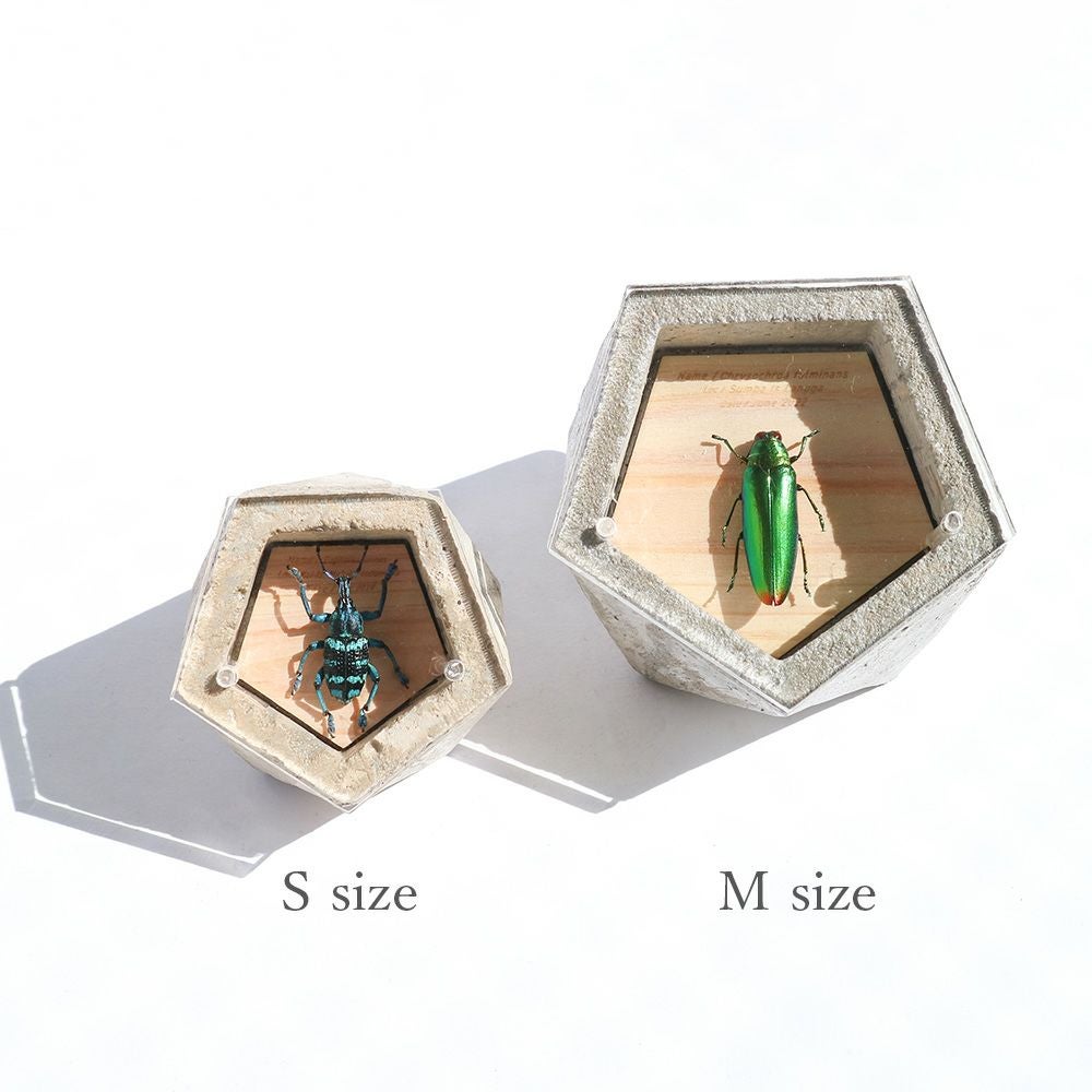 BUGS-DESIGN】BUG STONE (M) | ウサギノネドコ