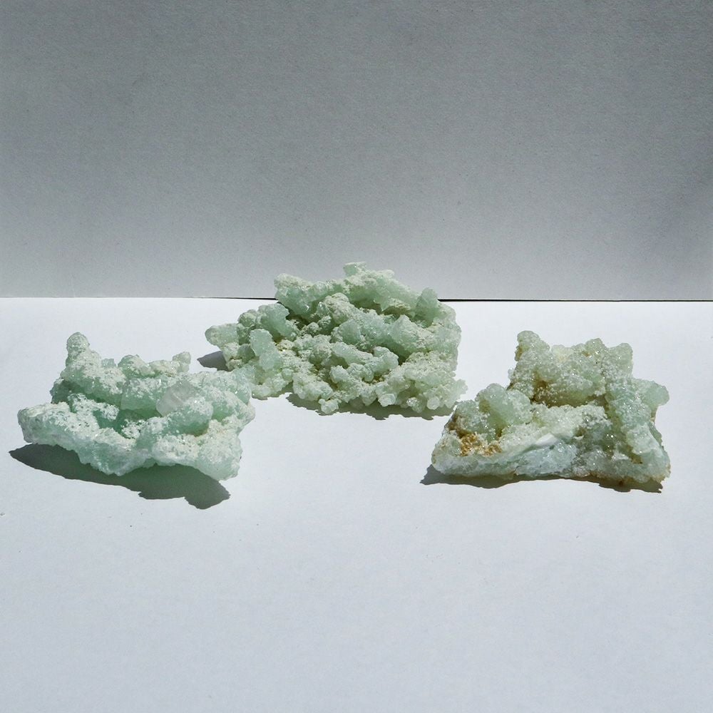 カルサイト | ウサギノネドコ