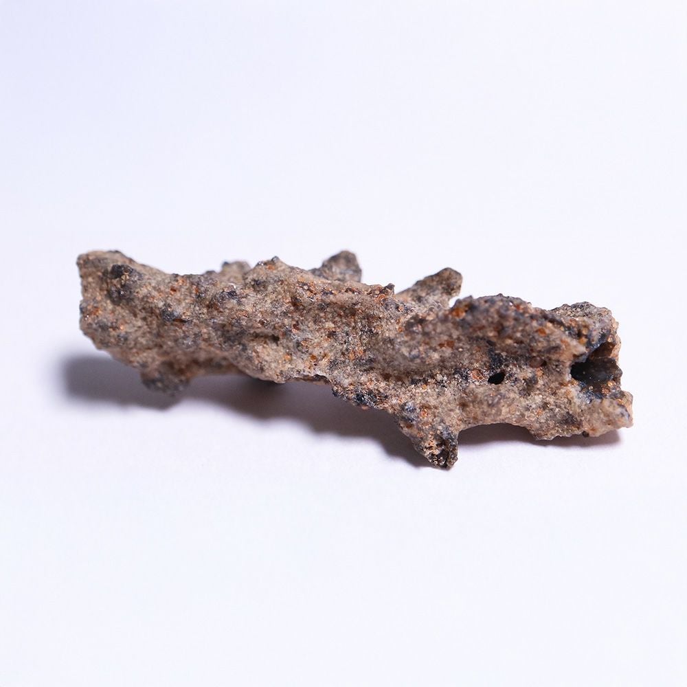 雷管石 最高品質雷管石/フルグライト（Fulgurite) Sahara desert, Morocco 産