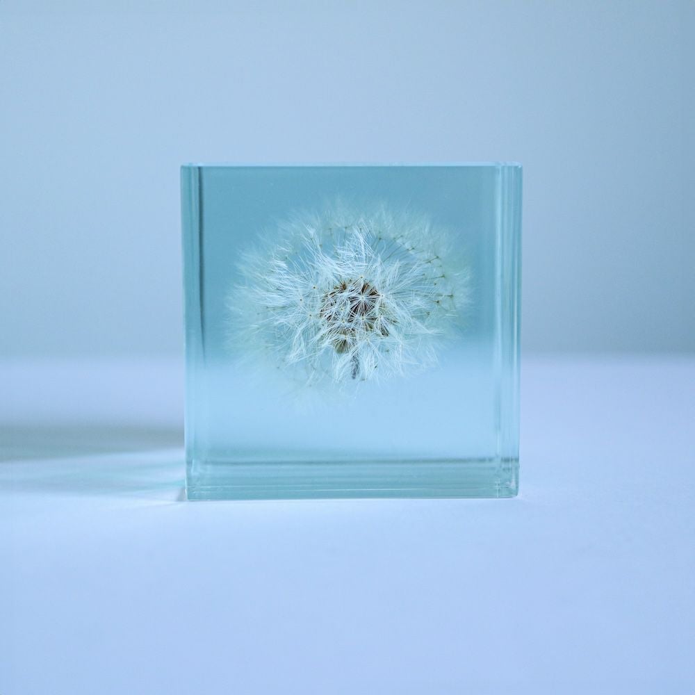 Sola cube Slice | ウサギノネドコ