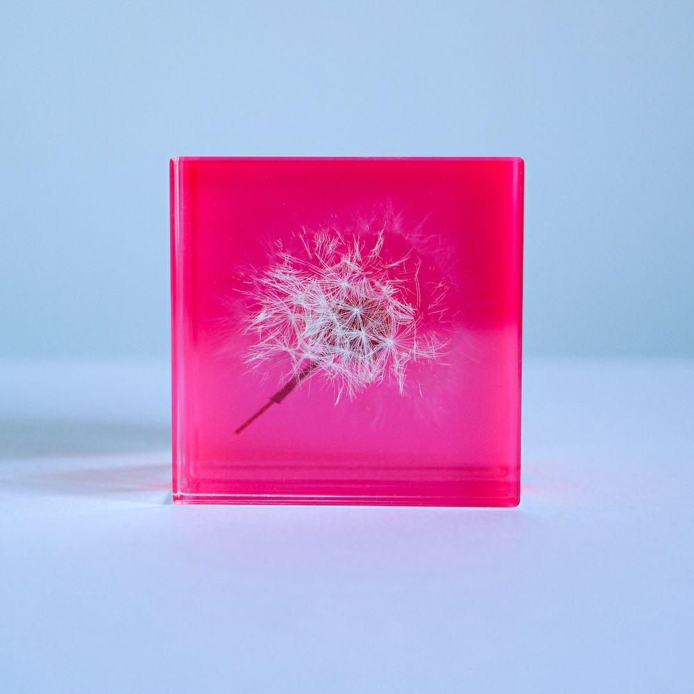 Sola cube Slice | ウサギノネドコ
