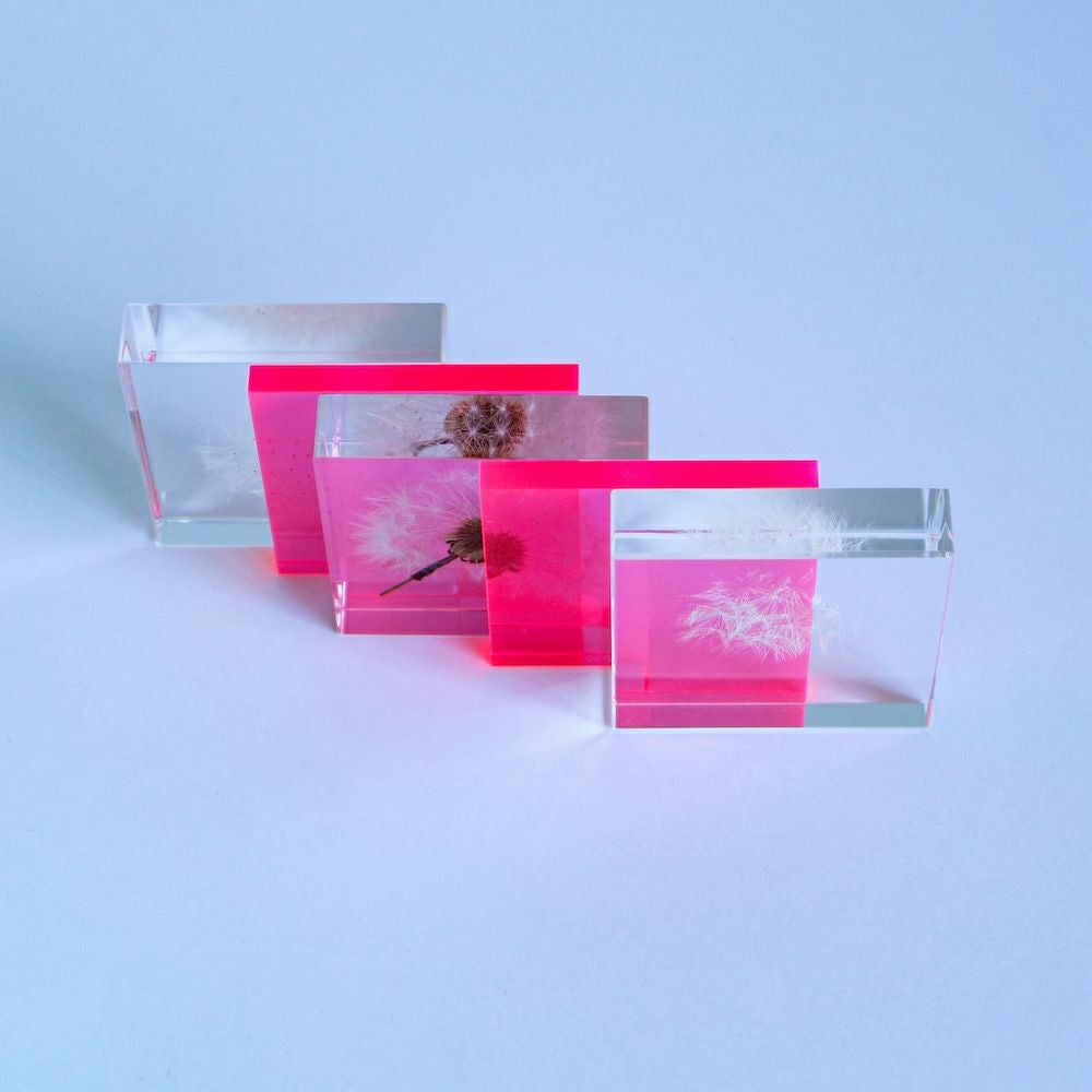 Sola cube Slice | ウサギノネドコ