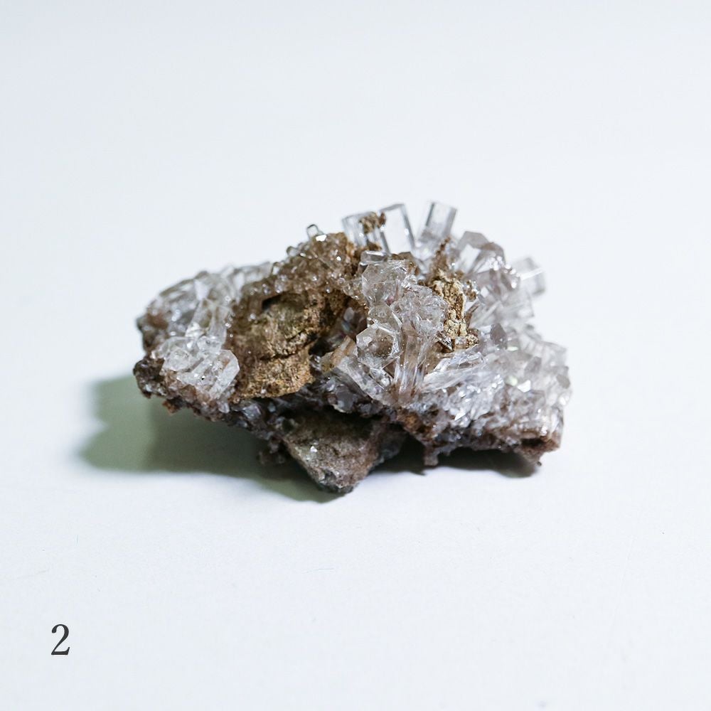 カルサイト | ウサギノネドコ