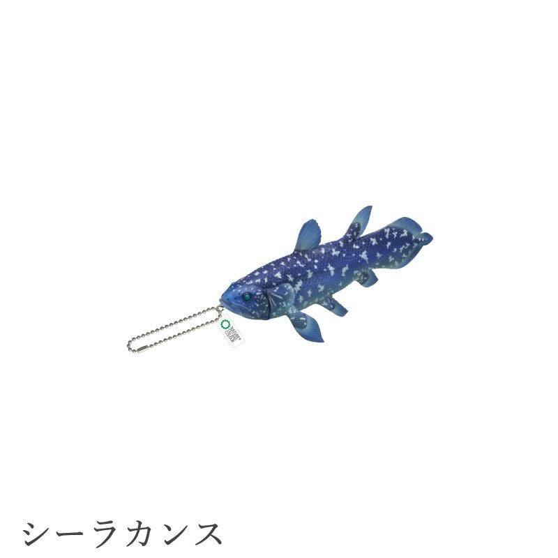 シーラカンス