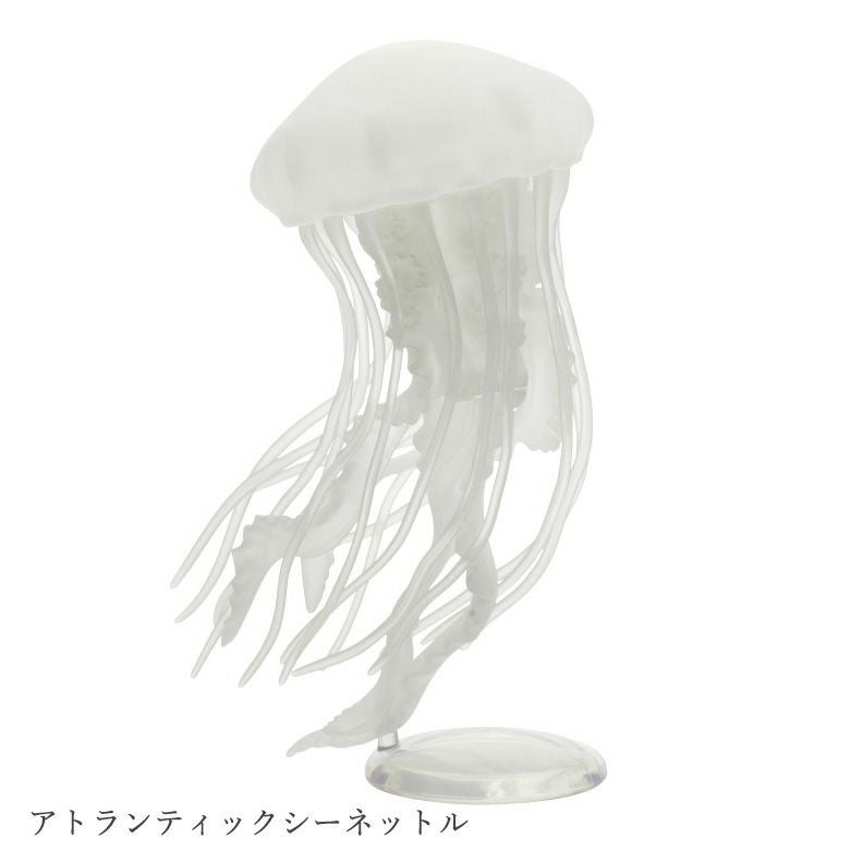 クラゲ LEDライトコレクション | ウサギノネドコ