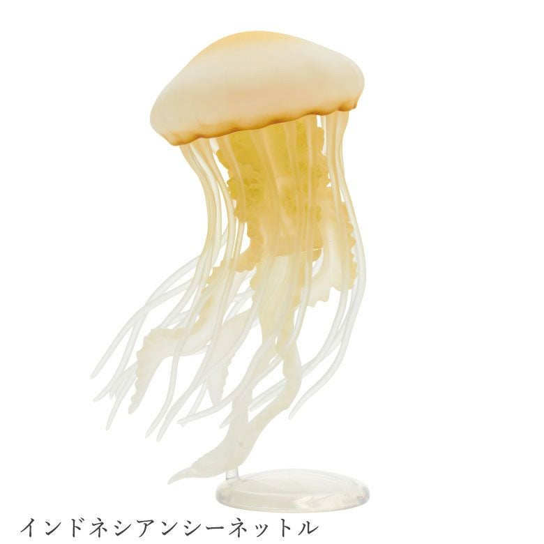 クラゲ LEDライトコレクション | ウサギノネドコ