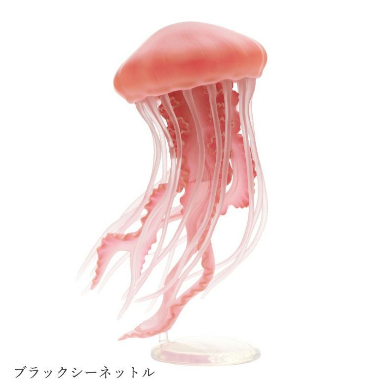 クラゲ LEDライトコレクション | ウサギノネドコ