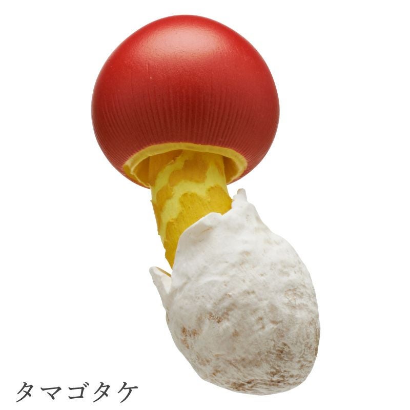 MONO＋ キノコマグネット1 | ウサギノネドコ