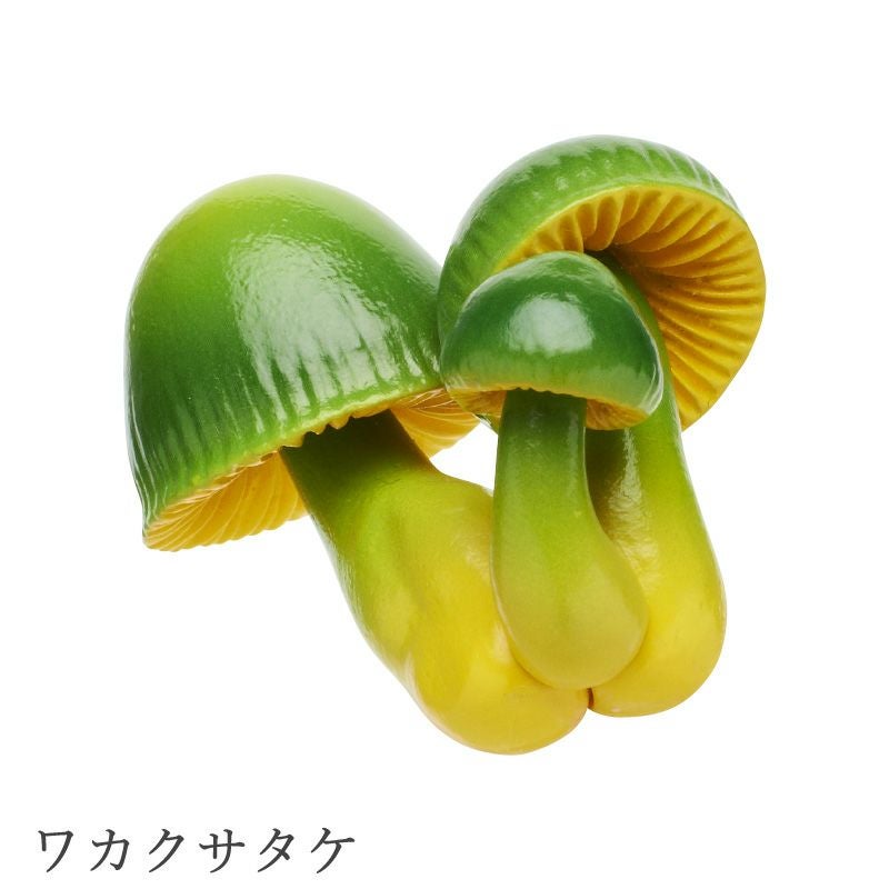 MONO＋ キノコマグネット1 | ウサギノネドコ