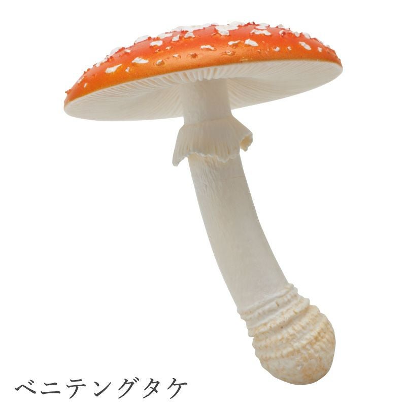 MONO＋ キノコマグネット1 | ウサギノネドコ