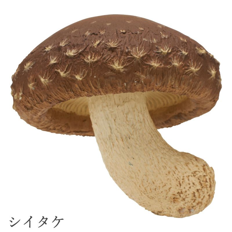 MONO＋ キノコマグネット1 | ウサギノネドコ