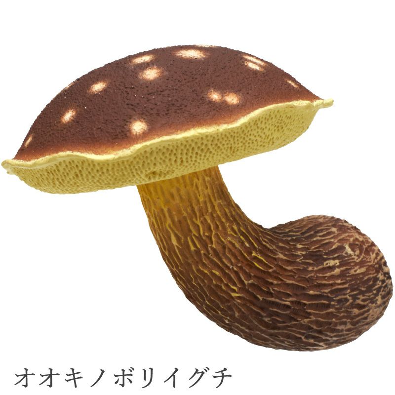 MONO＋ キノコマグネット2 | ウサギノネドコ