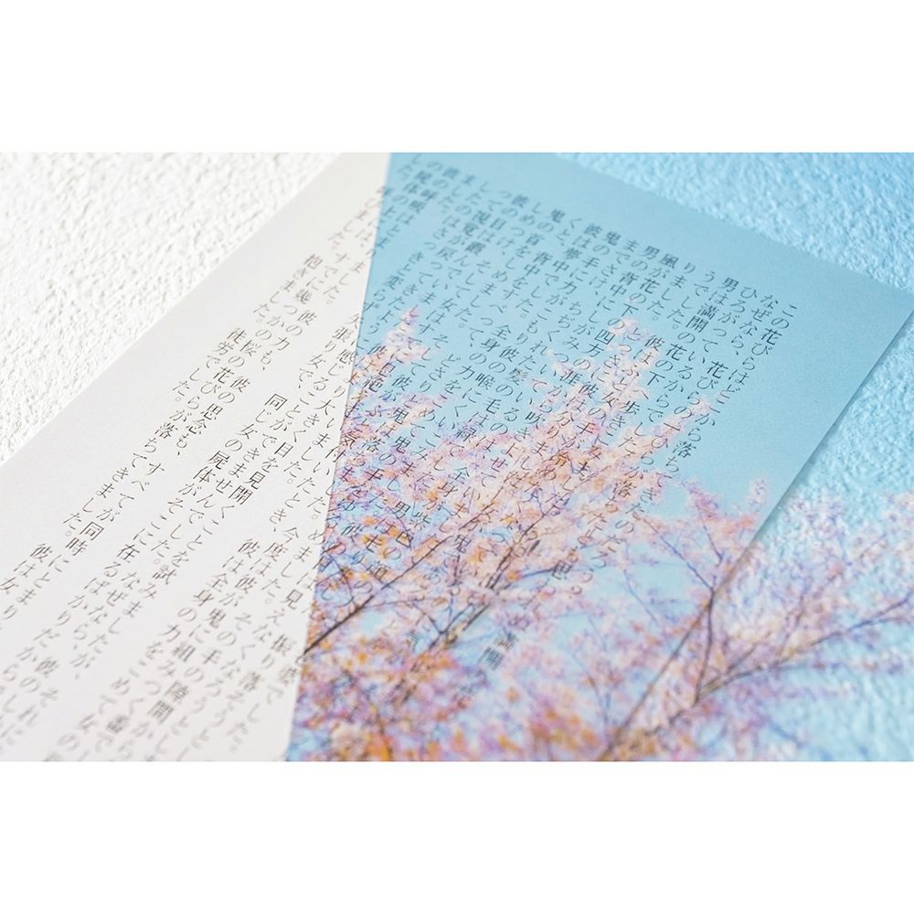 Photo & focus】透明写真栞 B-4 | ウサギノネドコ