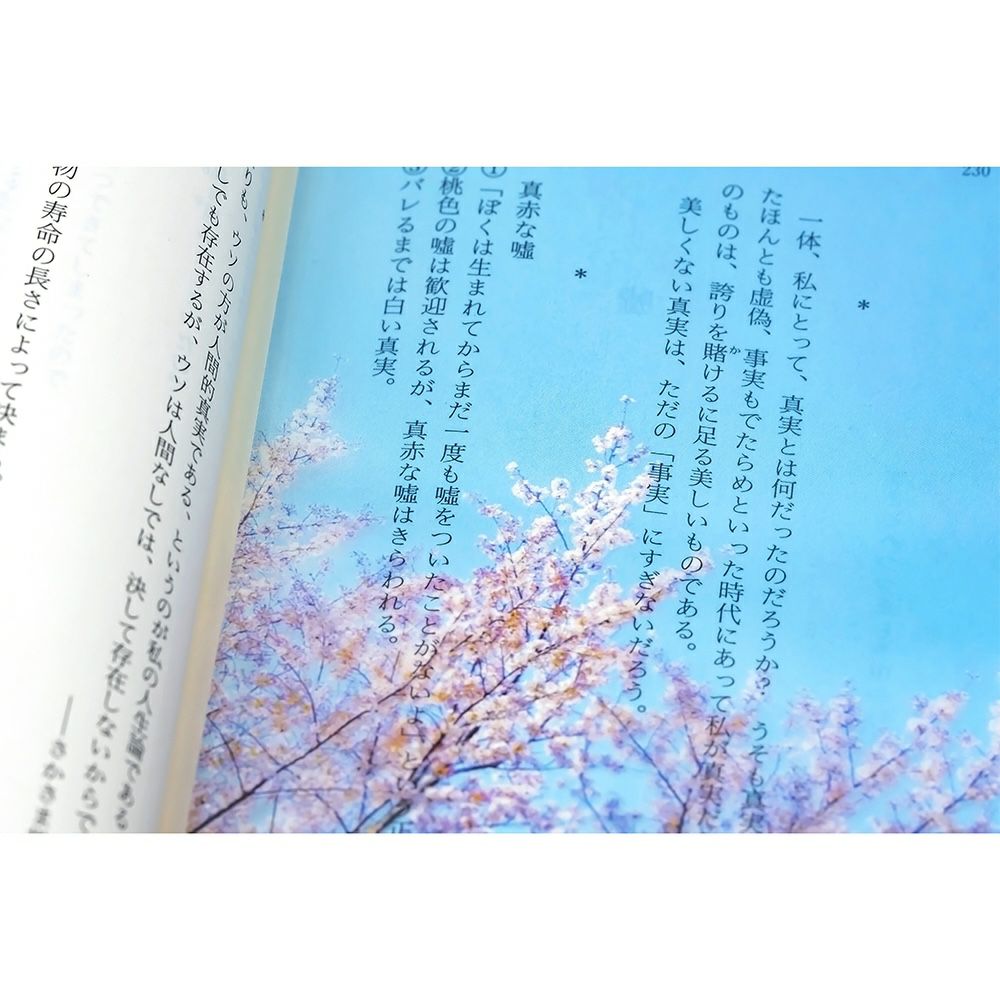 Photo & focus】透明写真栞 B-4 | ウサギノネドコ