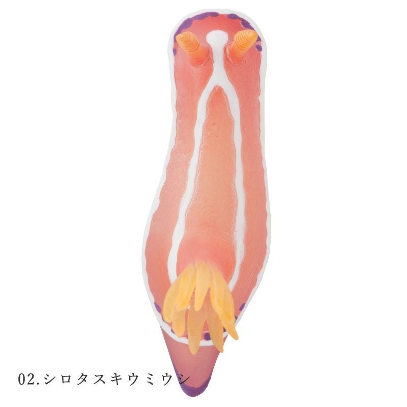 ウミウシ フィギュアマグネット | ウサギノネドコ