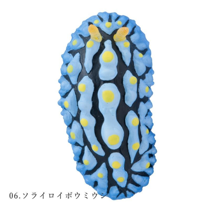 ウミウシ フィギュアマグネット | ウサギノネドコ