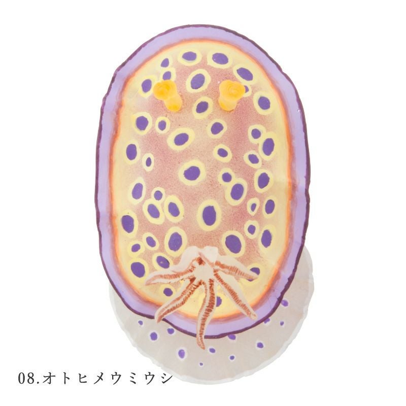ウミウシ フィギュアマグネット | ウサギノネドコ