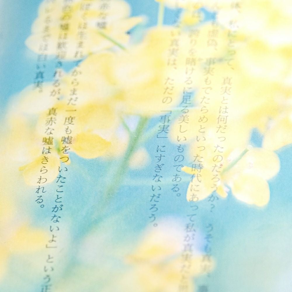 Photo & focus】透明写真栞 J-1 | ウサギノネドコ
