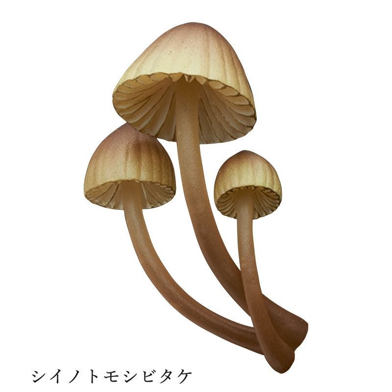 光るキノコのマグネット | ウサギノネドコ