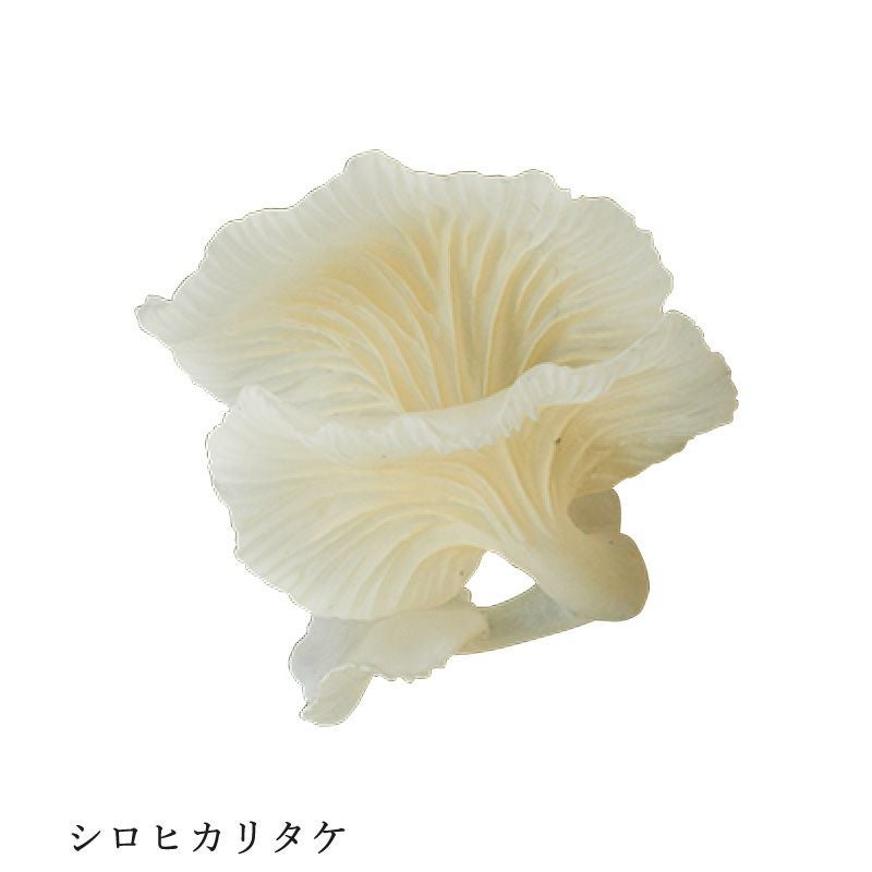 光るキノコのマグネット | ウサギノネドコ
