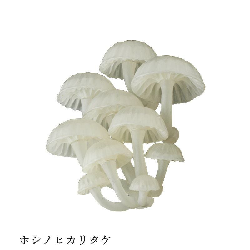 光るキノコのマグネット | ウサギノネドコ