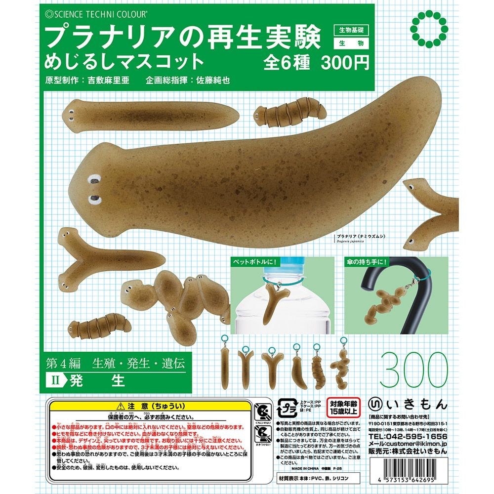 プラナリアの再生実験 めじるしマスコット | ウサギノネドコ