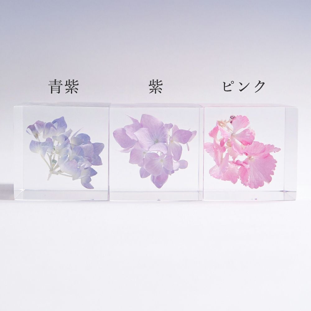 アジサイ | ウサギノネドコ