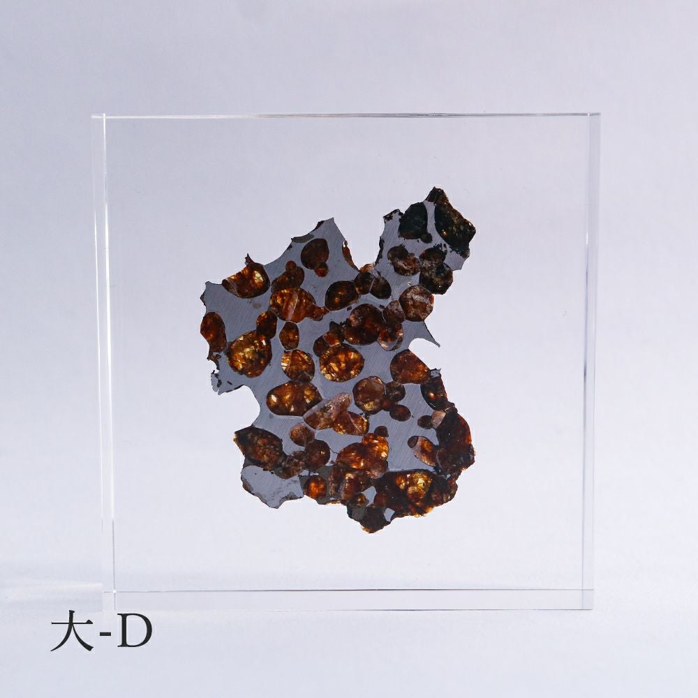 石鉄隕石(パラサイト) 大 | ウサギノネドコ