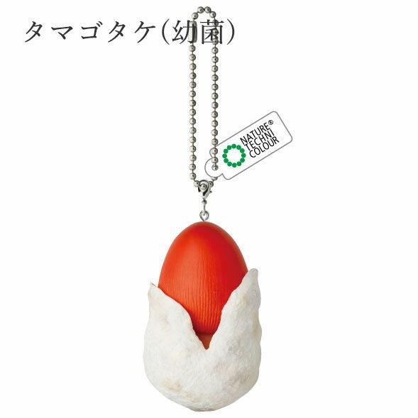MONO＋ キノコソフトマスコット | ウサギノネドコ